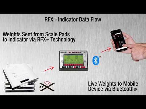Intercomp Racing SW650RFX™ Wireless Quik Weight Scale System ...