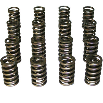 Isky Outer Valve Spring With Damper Set Suit Small Block Chevy V8, 1.260